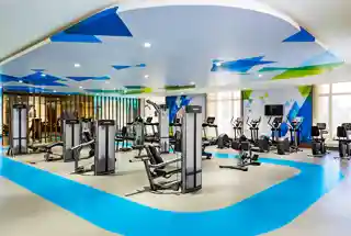 Hi-Tech Gymnasium at Lodha Altero