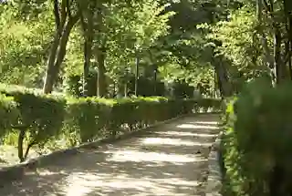 Walking Track at Lodha Altero